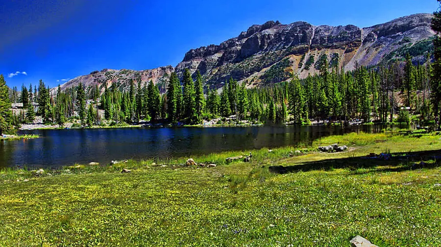 Utah Planning Update